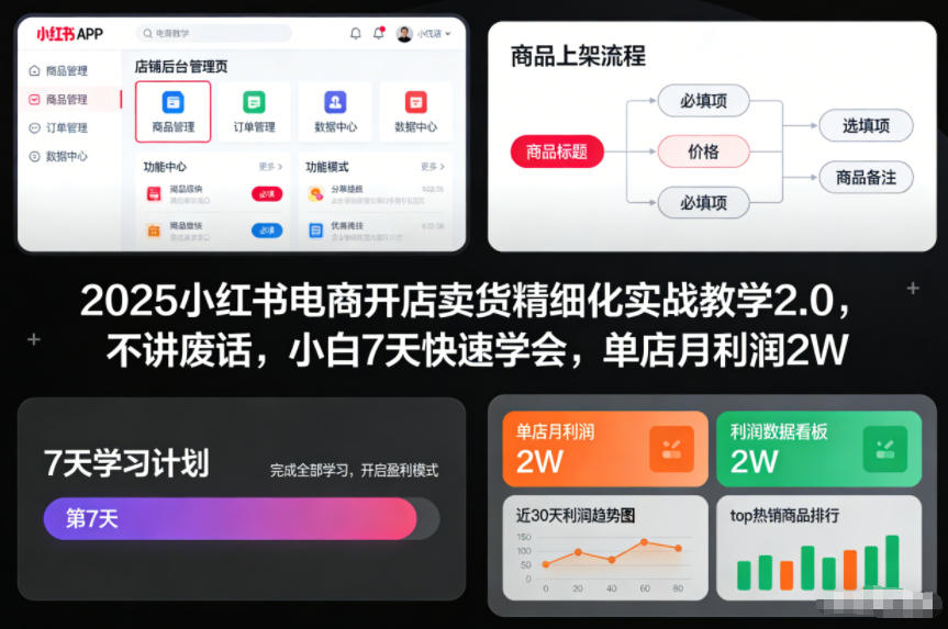 2025小红书电商开店卖货精细化实战教学2.0，不讲废话，小白7天快速学会，单店月利润2W-极客网创