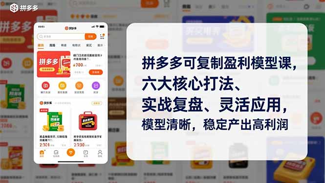 拼多多可复制盈利模型课，六大核心打法、实战复盘、灵活应用，模型清晰，稳定产出高利润-极客网创