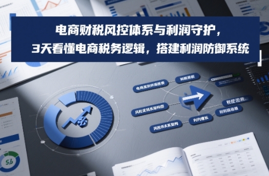 电商财税风控体系与利润守护，3天看懂电商税务逻辑，搭建利润防御系统-极客网创