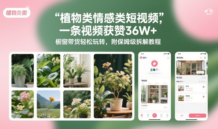 植物类情感类短视频，一条视频获赞36W+，橱窗带货轻松玩转，附保姆级拆解教程-极客网创