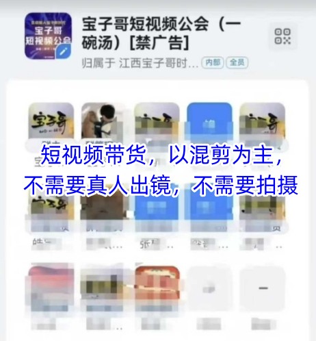 宝子哥头部团队短视频带货,以混剪为主,不需要真人出镜,不需要拍摄【更新26年1月】-极客网创