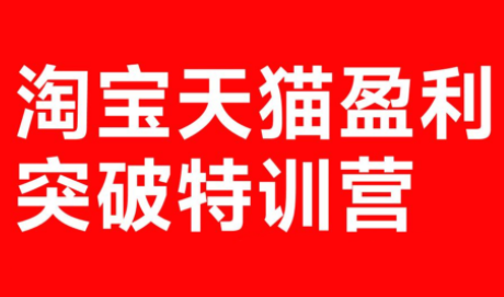 玺承·淘宝天猫盈利突破特训营(25年12月线下课)【音频+字幕】-极客网创