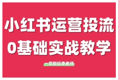 小红书运营投流，小红书广告投放从0到1的实战课，学完即可开始投放(更新26年)-极客网创