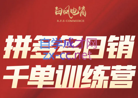 白凤电商·拼多多日销千单训练营(更新2月)-极客网创