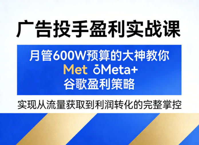 广告投手盈利实战课，月管600W预算的大神教你Meta+谷歌盈利策略，实现从流量获取到利润转化的完整掌控-极客网创