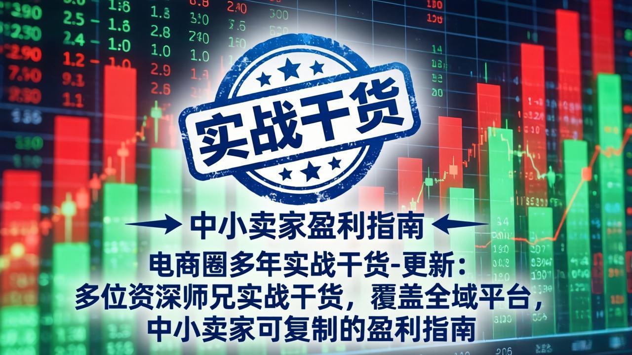 电商圈多年实战干货-更新5月10：多位资深师兄实战干货/覆盖全域平台，中小卖家可复制的盈利指南-极客网创