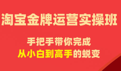 飓风电商·淘宝金牌运营实操班-极客网创