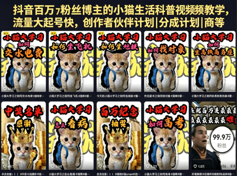 抖音百万粉丝博主的小猫生活科普视频教学,流量大起号快,创作者伙伴计划|分成计划|商单|收徒等-极客网创