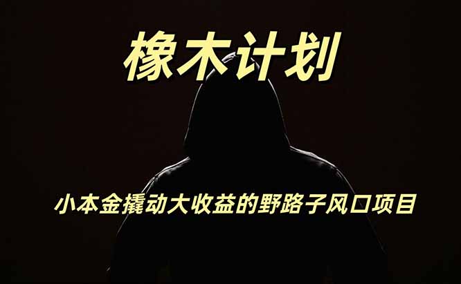 橡木计划，小投入撬动高回报的风口野路子项目，一天投入2小时左右-极客网创