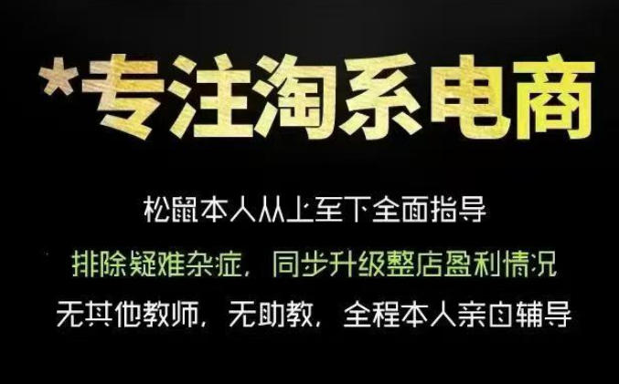 松鼠会电商VIP课程,从基础布局到高阶优化,助你掌握淘宝运营逻辑,提升店铺流量与转化(更新0901)-极客网创
