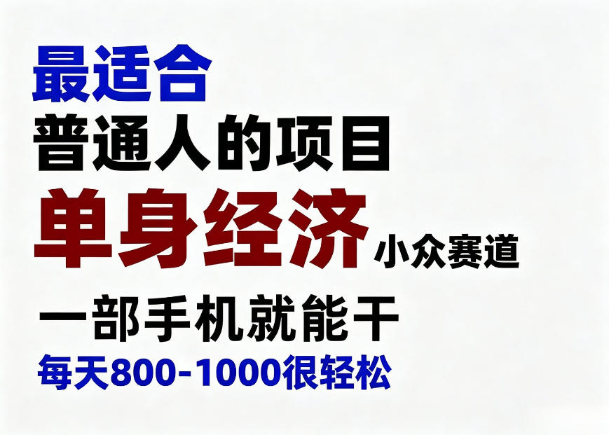 身经济小众赛道,一部手机就能干,每天搞个800-1000很轻松,最适合普通人的项目【揭秘】-极客网创