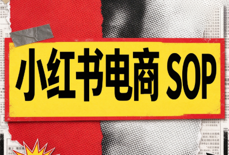 书豪必胜小红书电商sop(更新9月)-极客网创