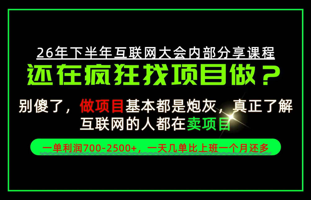 请不要再疯狂的找项目了！卖项目一单700-2.5k+不香吗？当天上手，当天变现！【揭秘】-极客网创