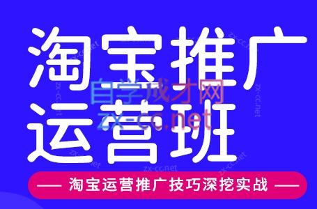 美迪电商·淘宝高级运营班+推广运营班(更新10月)-极客网创