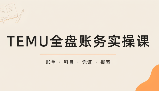 TEMU全盘账务实操课：账单导出、科目设置、利润核算-极客网创